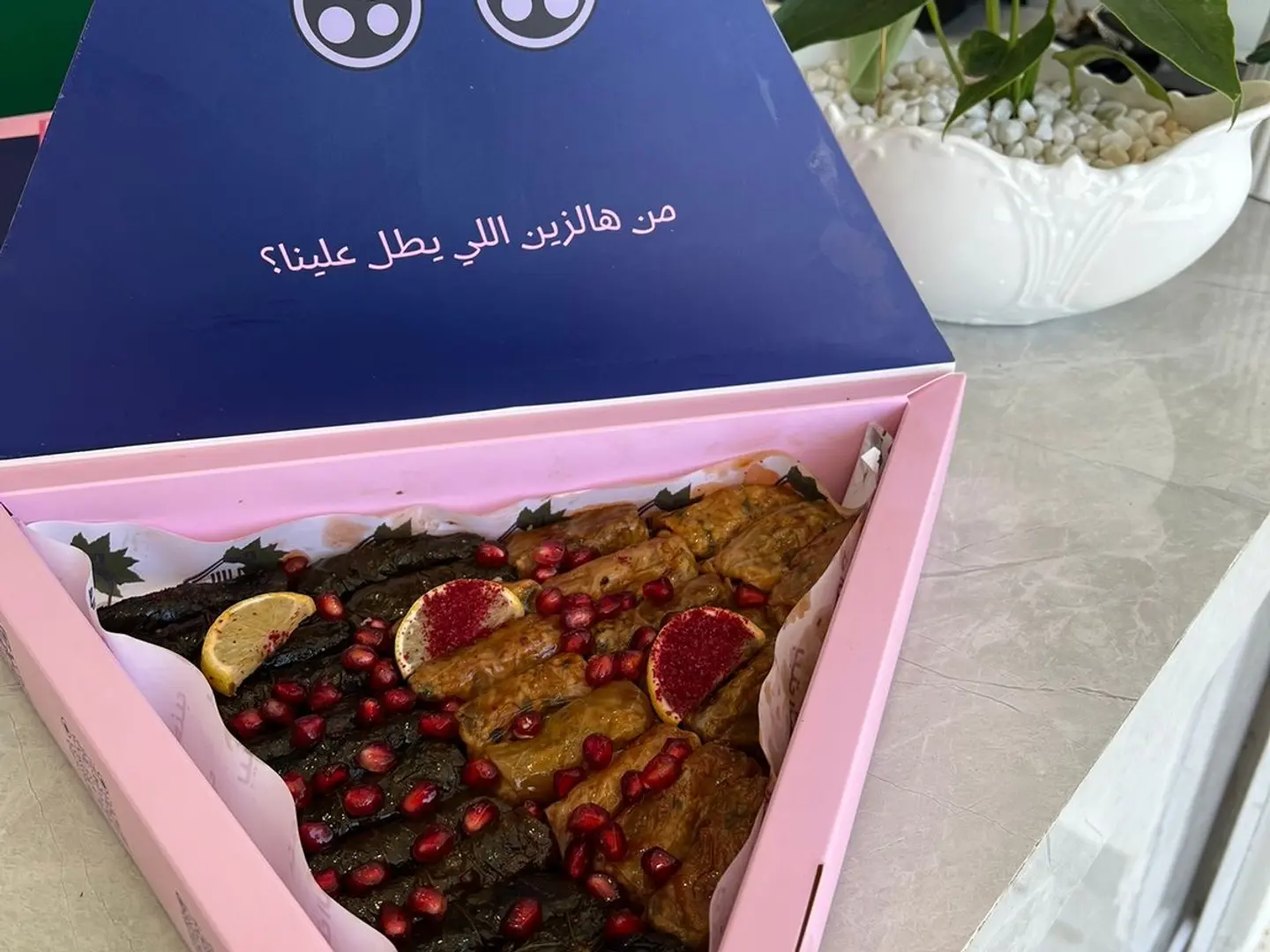 بوكس مشكل وسط ورق عنب و ملفوف