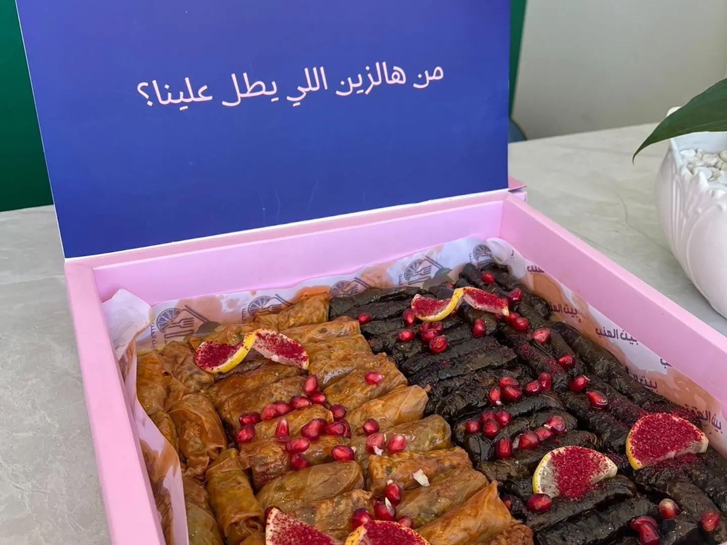 بوكس مشكل كبير ورق عنب ملفوف