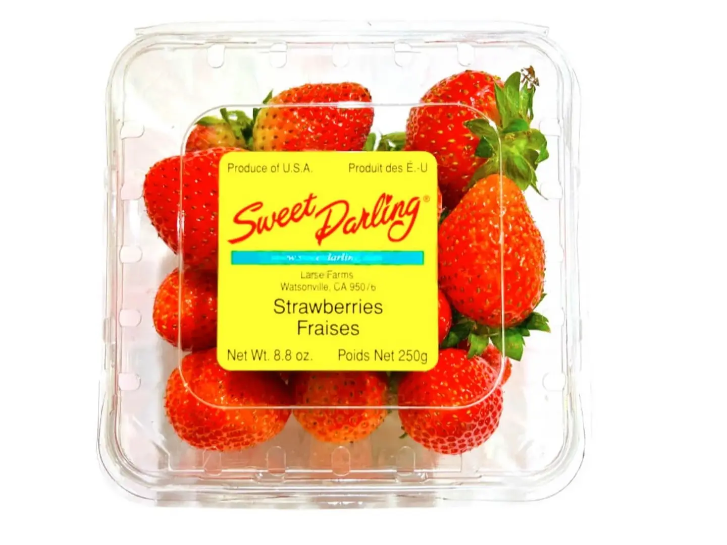 Strawberry Usa