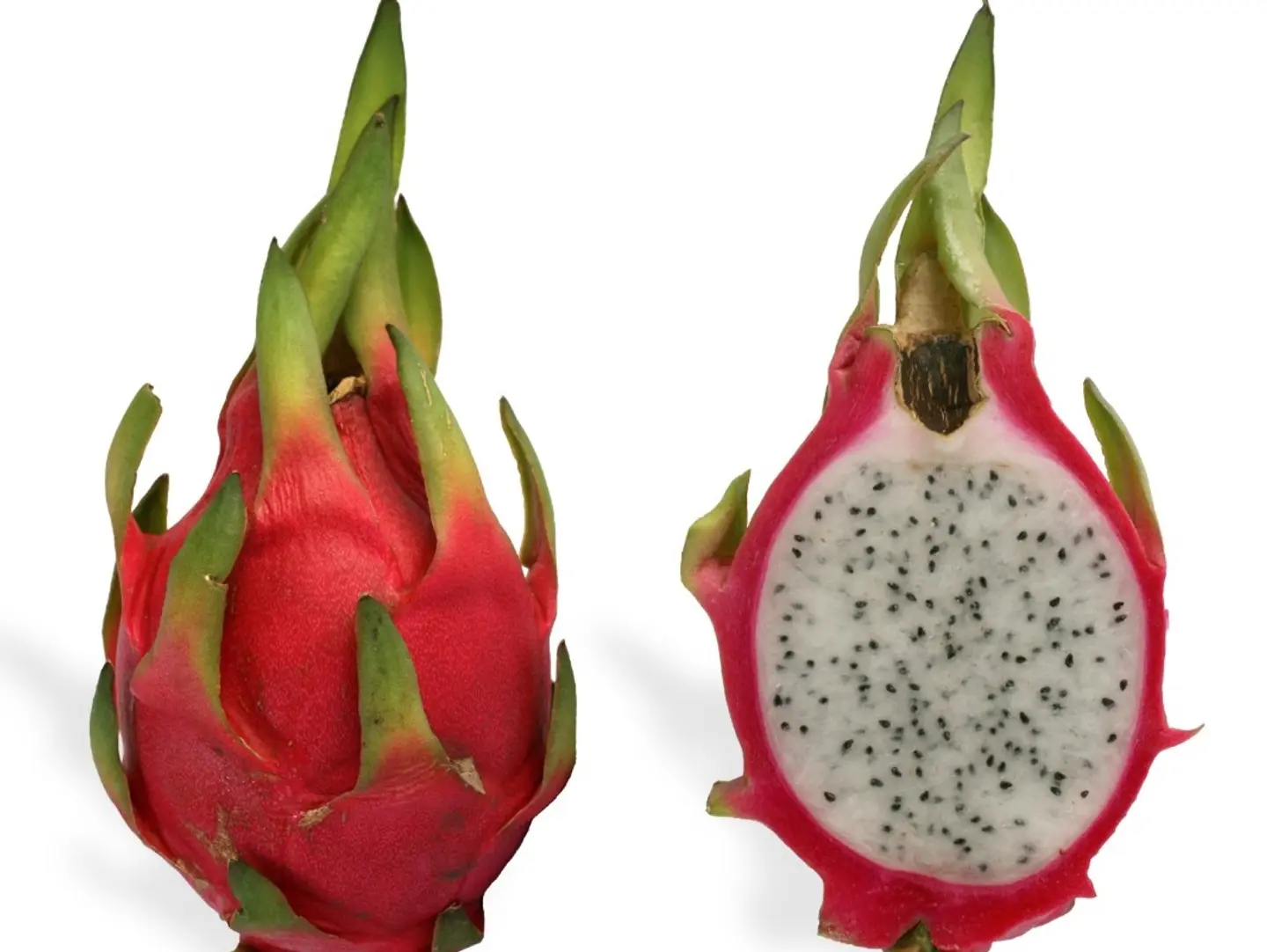 Dragon Fruit