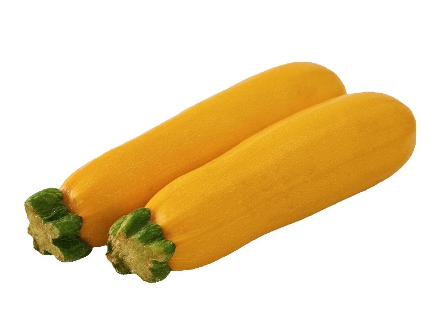 Courgette Yellow Holland