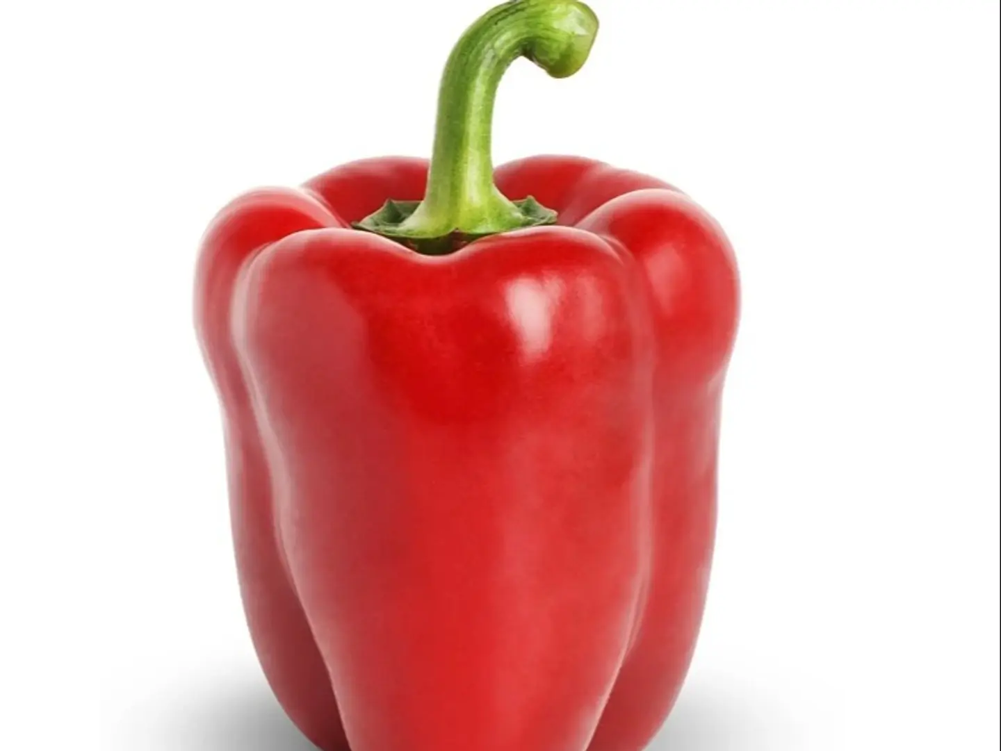 Capsicum Red Holland