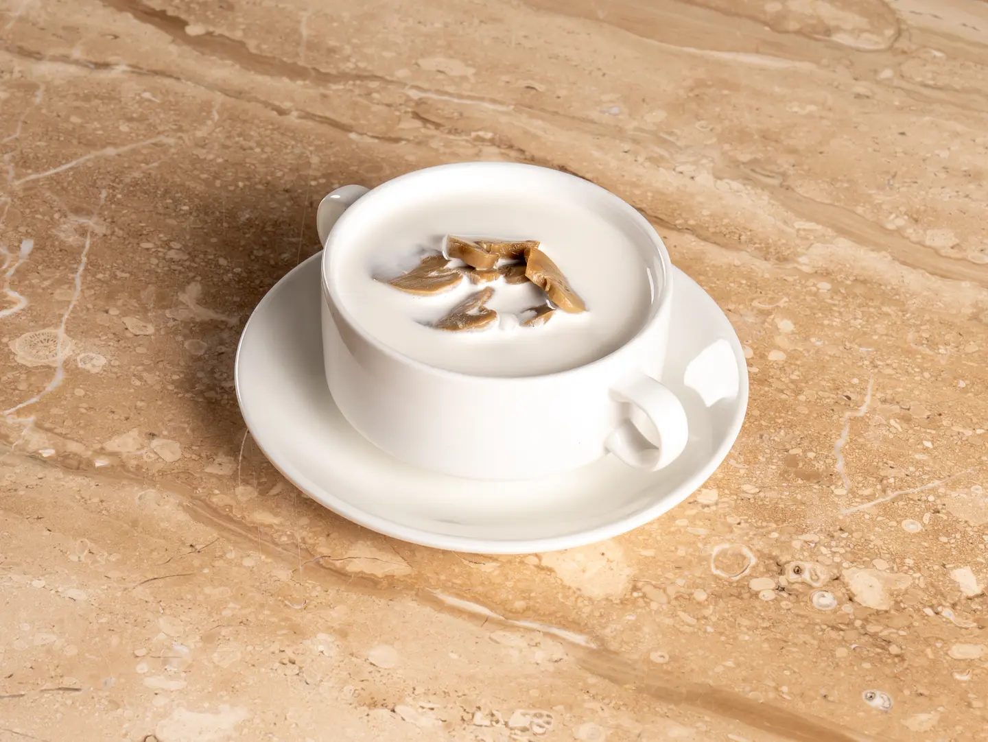Mushroom Soup