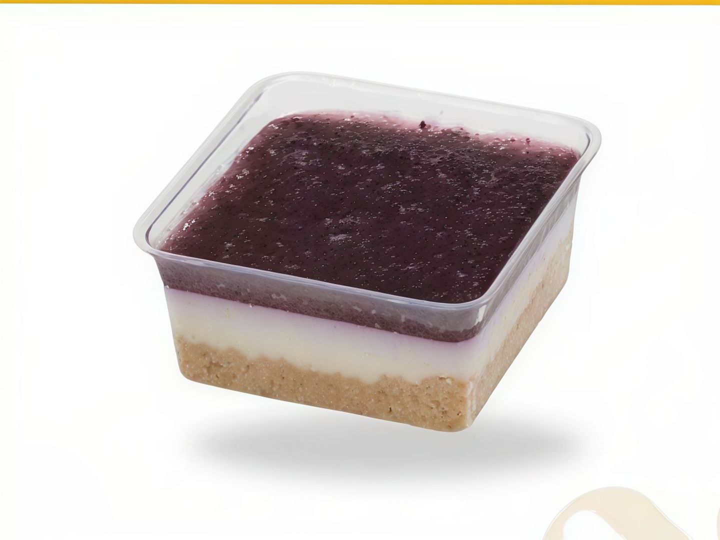 Blueberry Cheese Cake