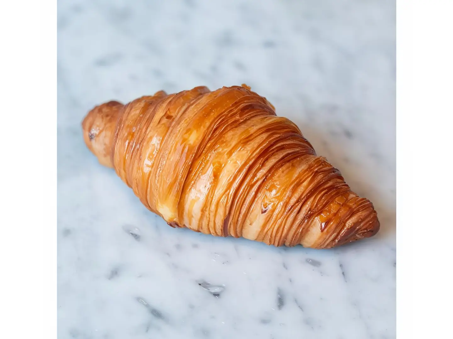 كرواسان عادي