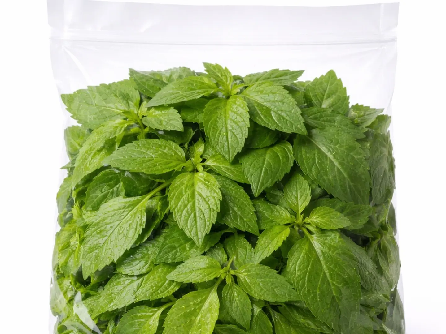 ملوخية (1 حزمة)