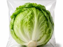 خس مدور(1حبة)