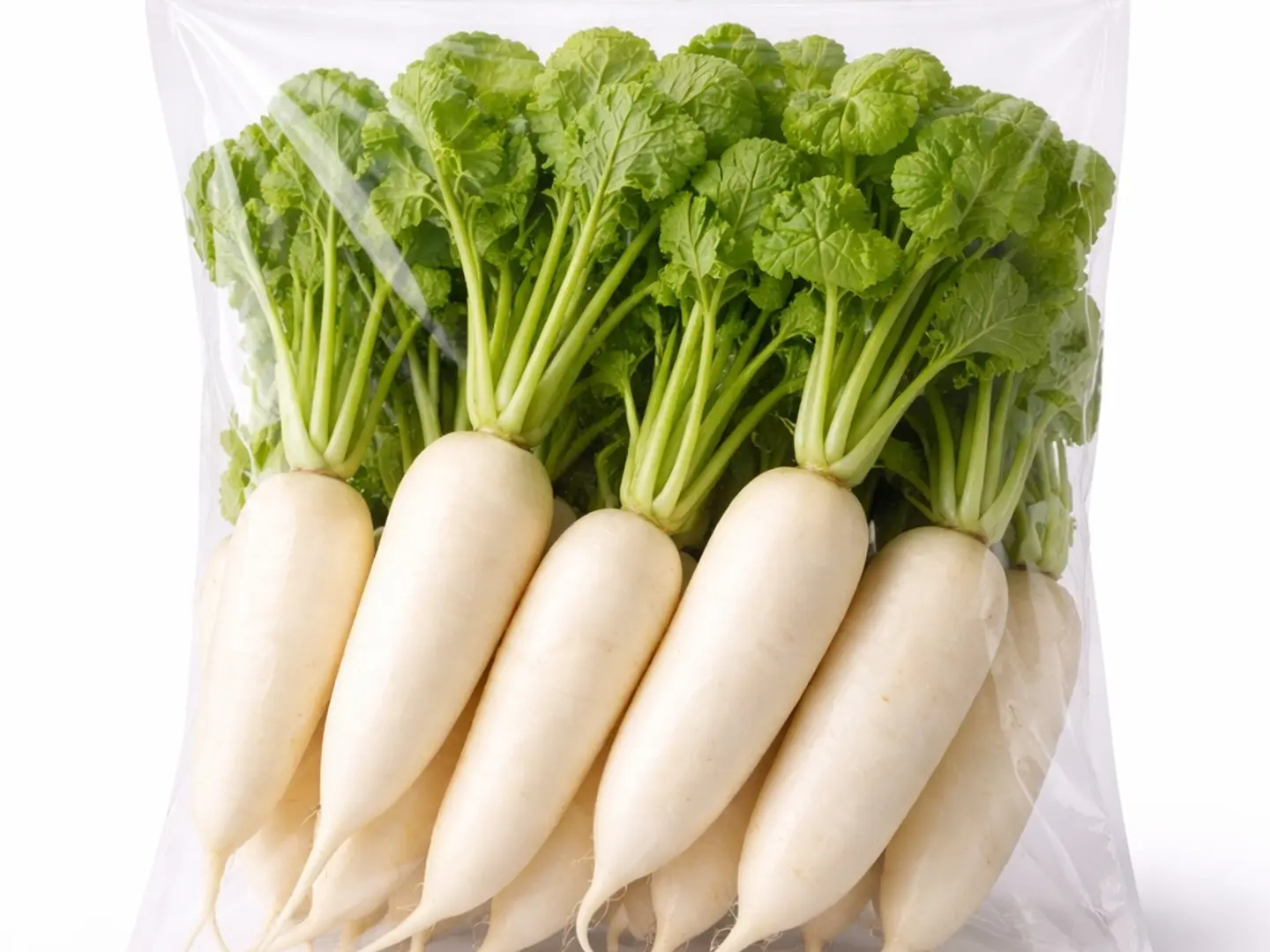 فجل ابيض(1حزمة)