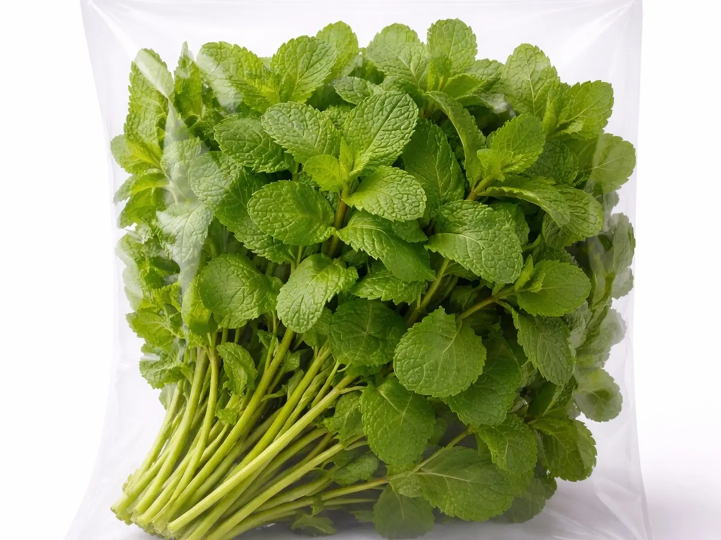 نعناع (1حزمة)