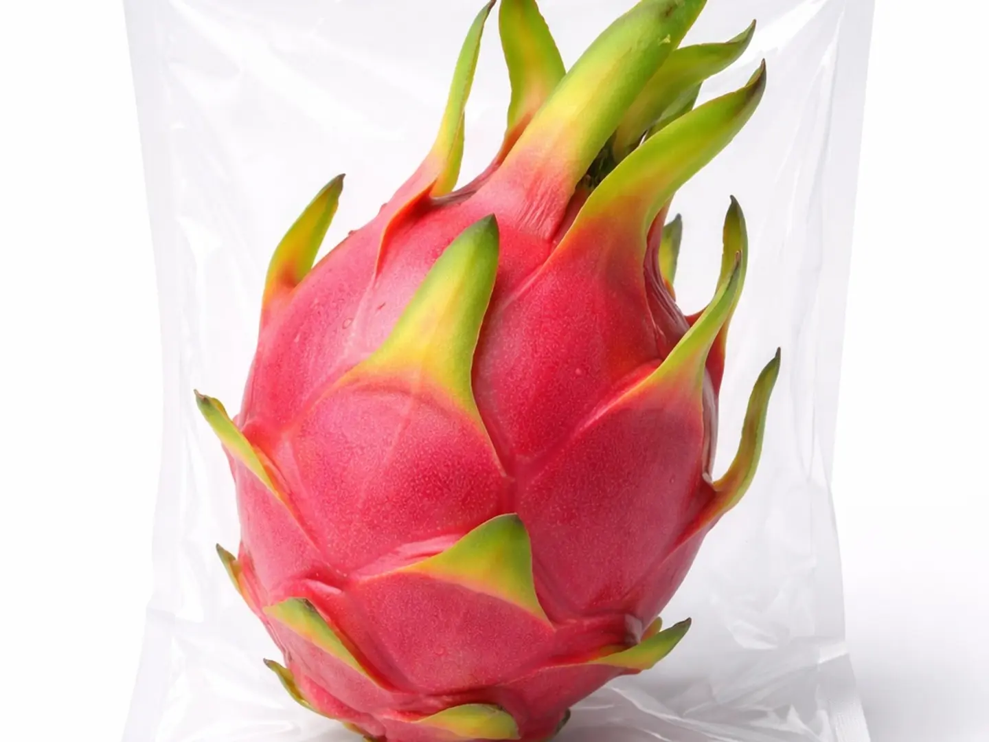 دراجون فروت(1حبة)