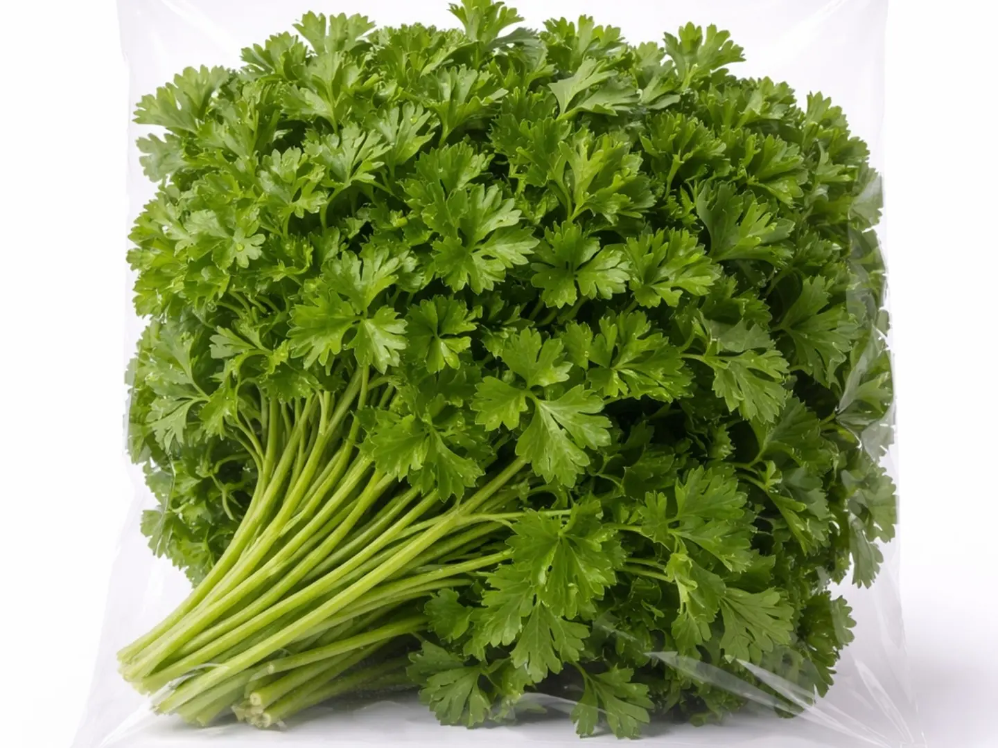 بقدونس (1حزمة)