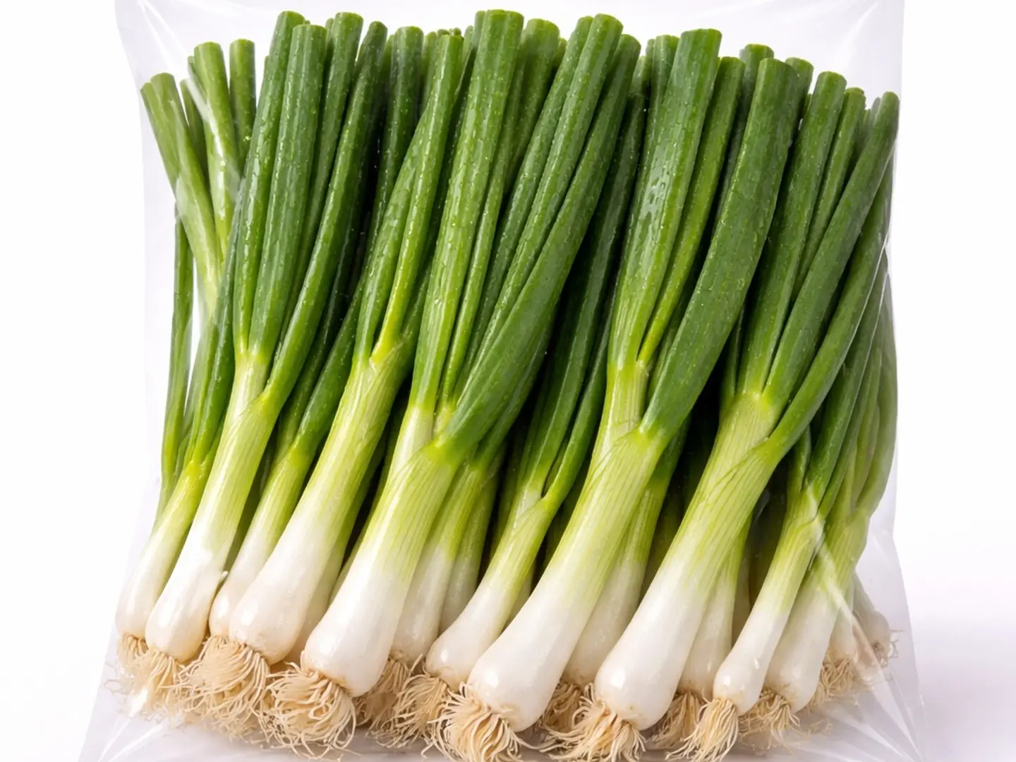 بصل اخضر (1حزمة)