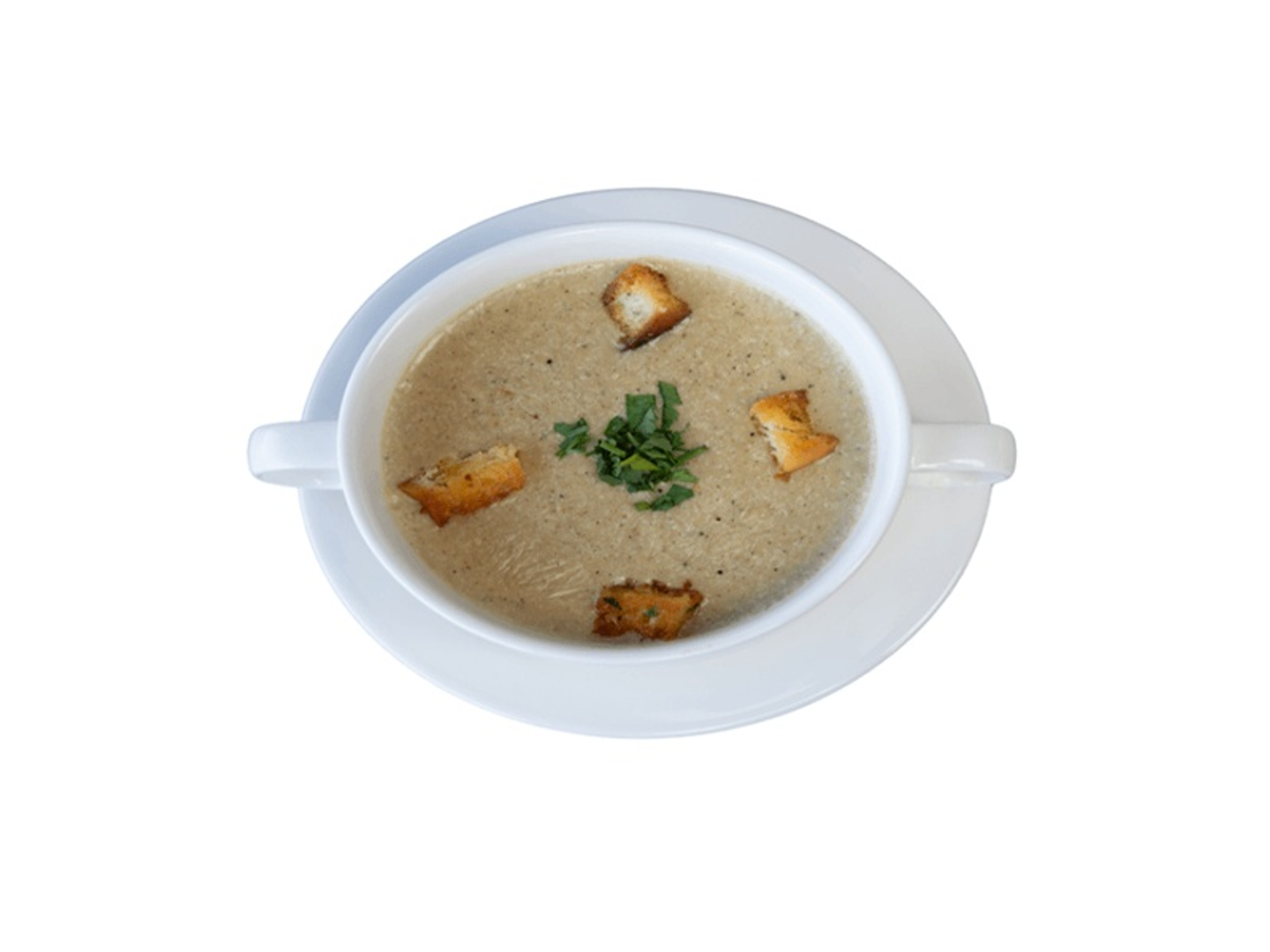Chicken Cream Soup