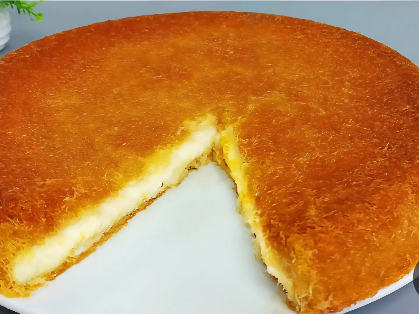 Kanafuh Qishtuh Saghir Eayiliun