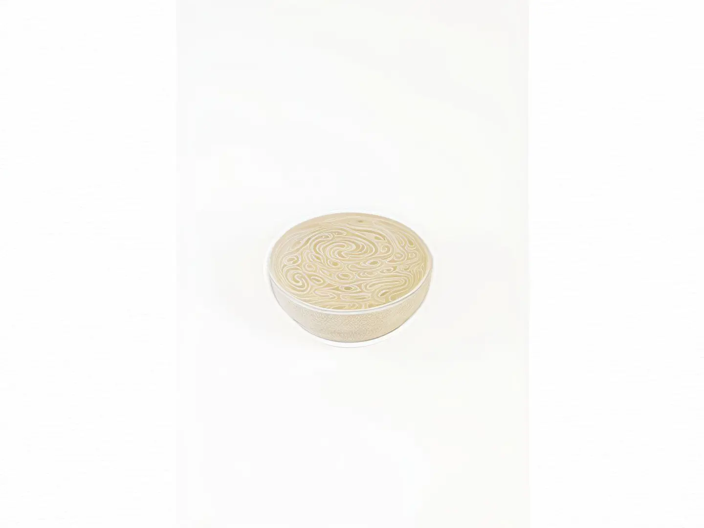 صوص الترافل