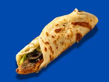 شباتي حلومي