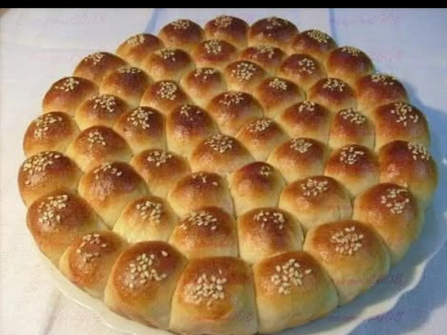 خليه نحل كبير ساده