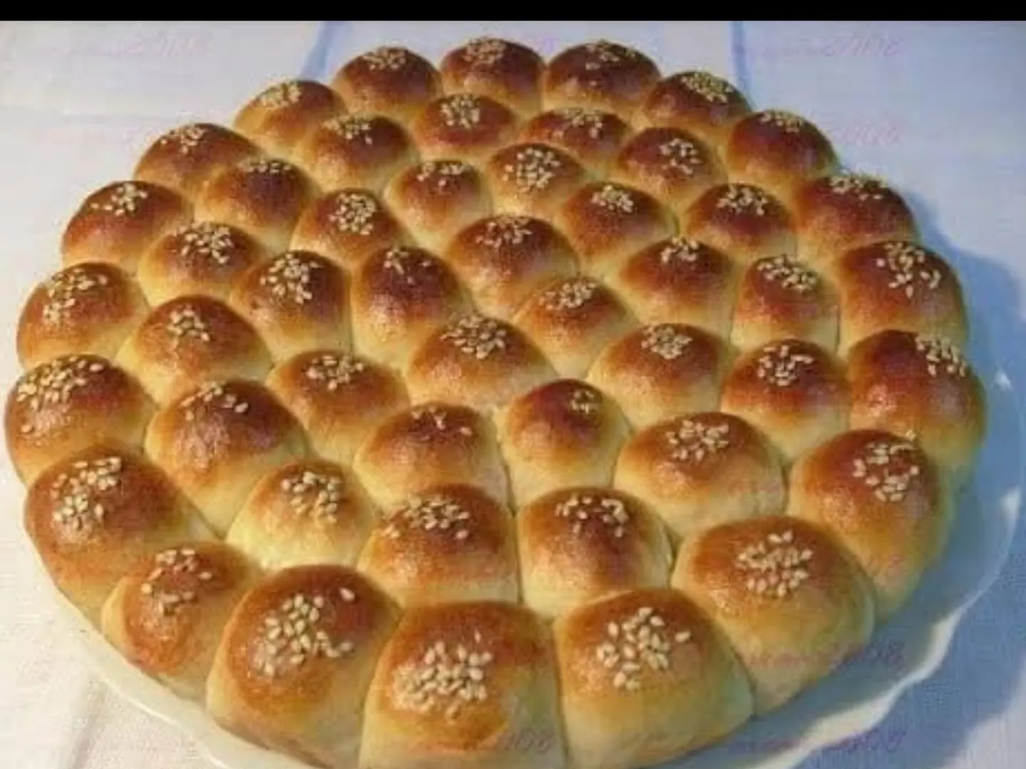 خليه نحل سغير ساده