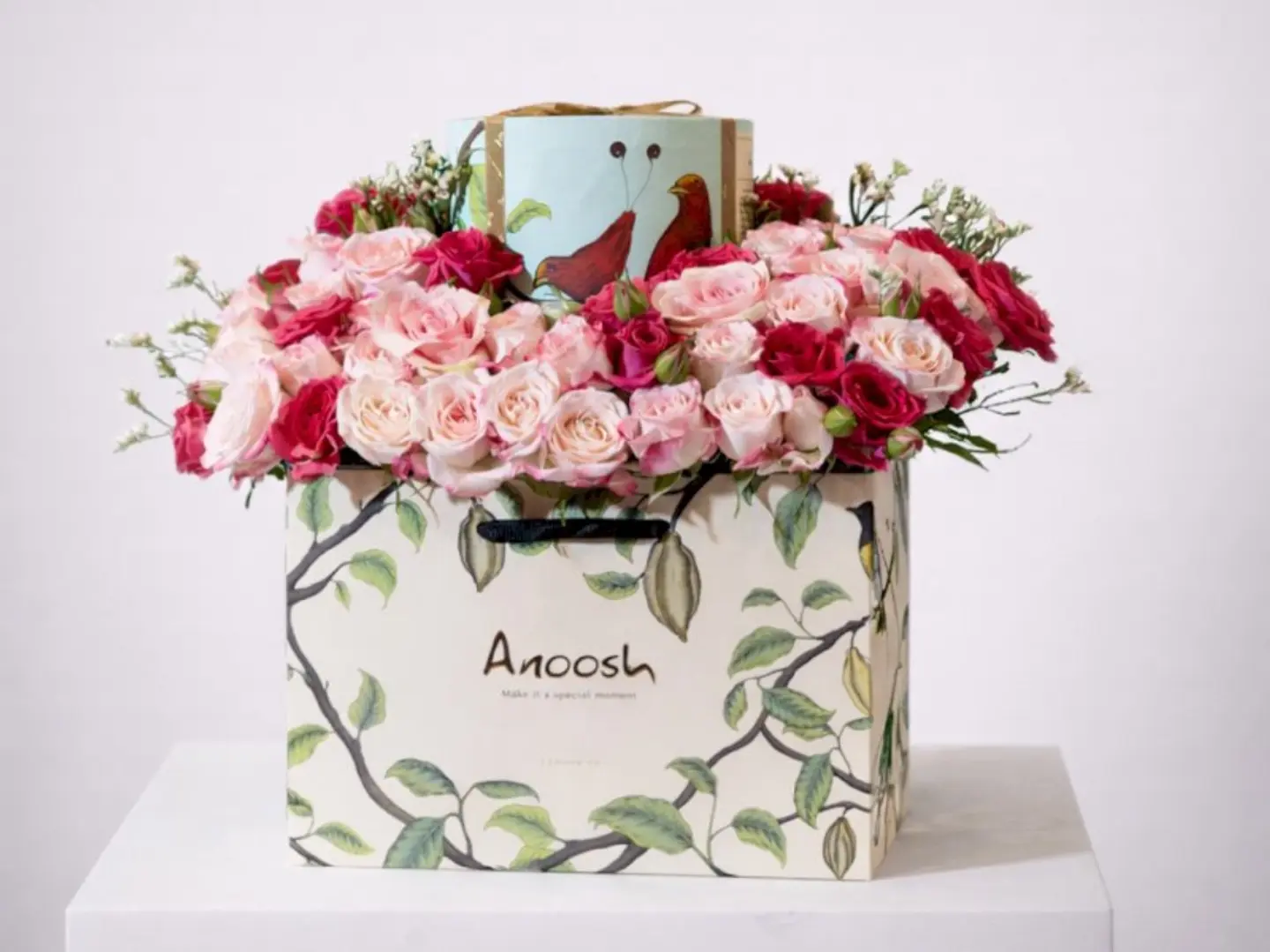 شوكلت أنوش مكس