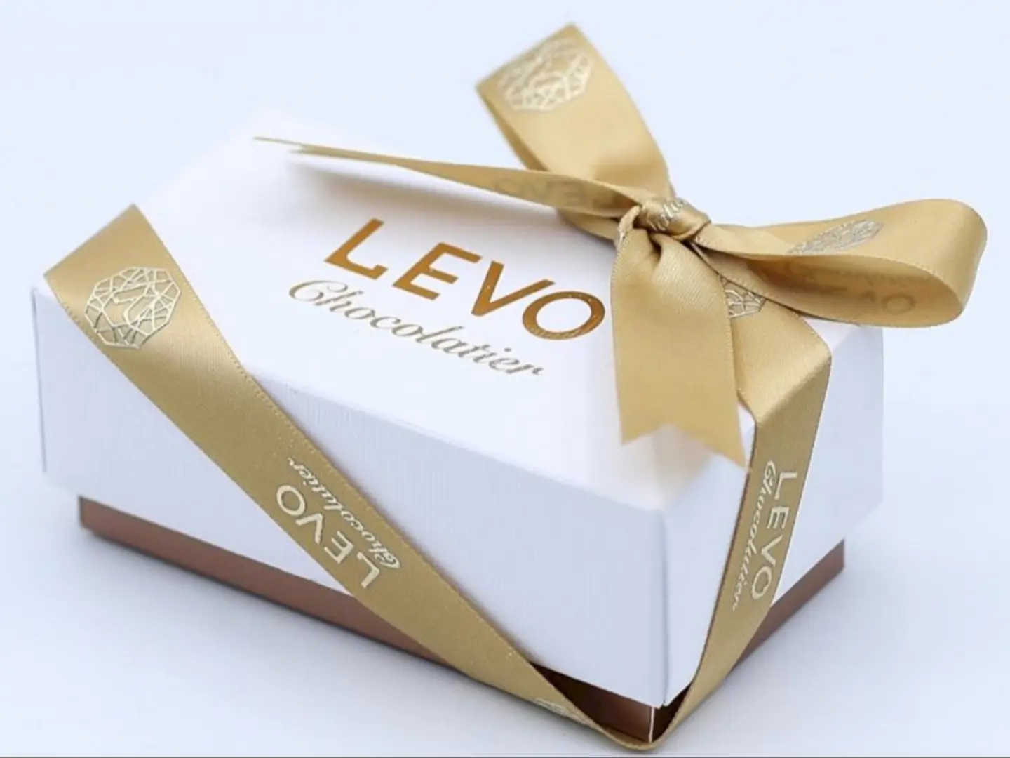 Levo Distribution With Bag Small Box