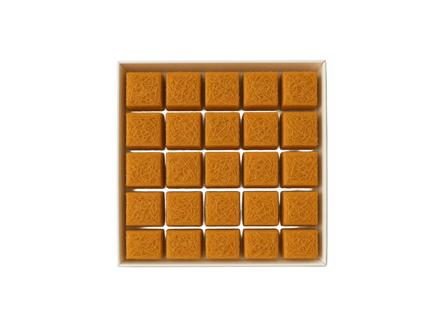 بوكس بايتس الشعيرية