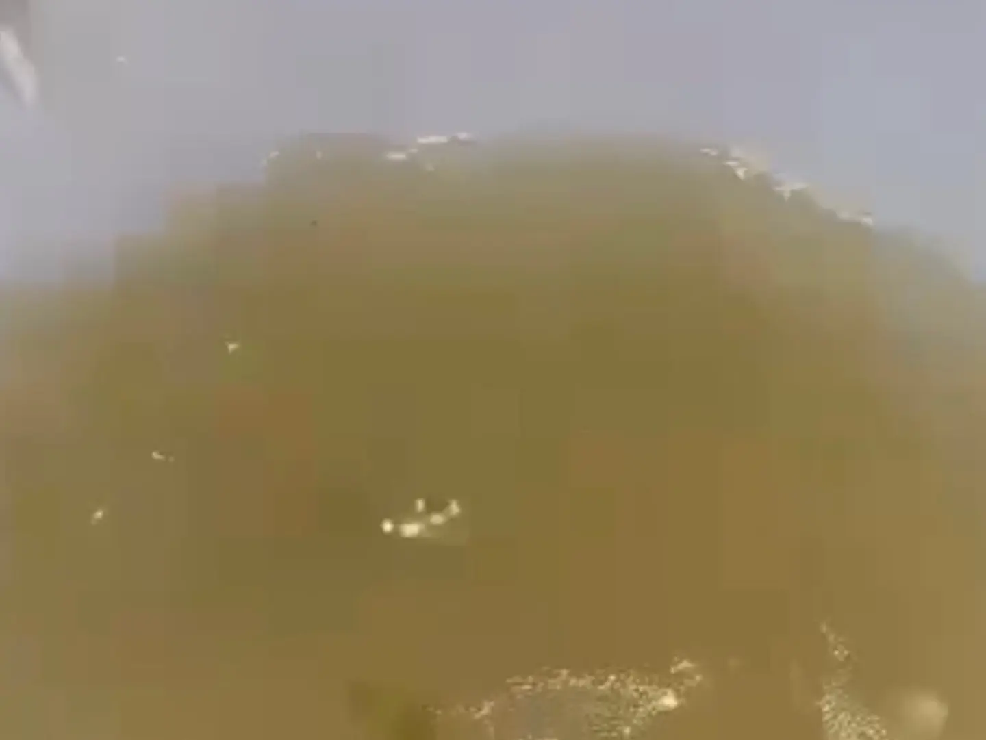 مرق تيوس بلدي