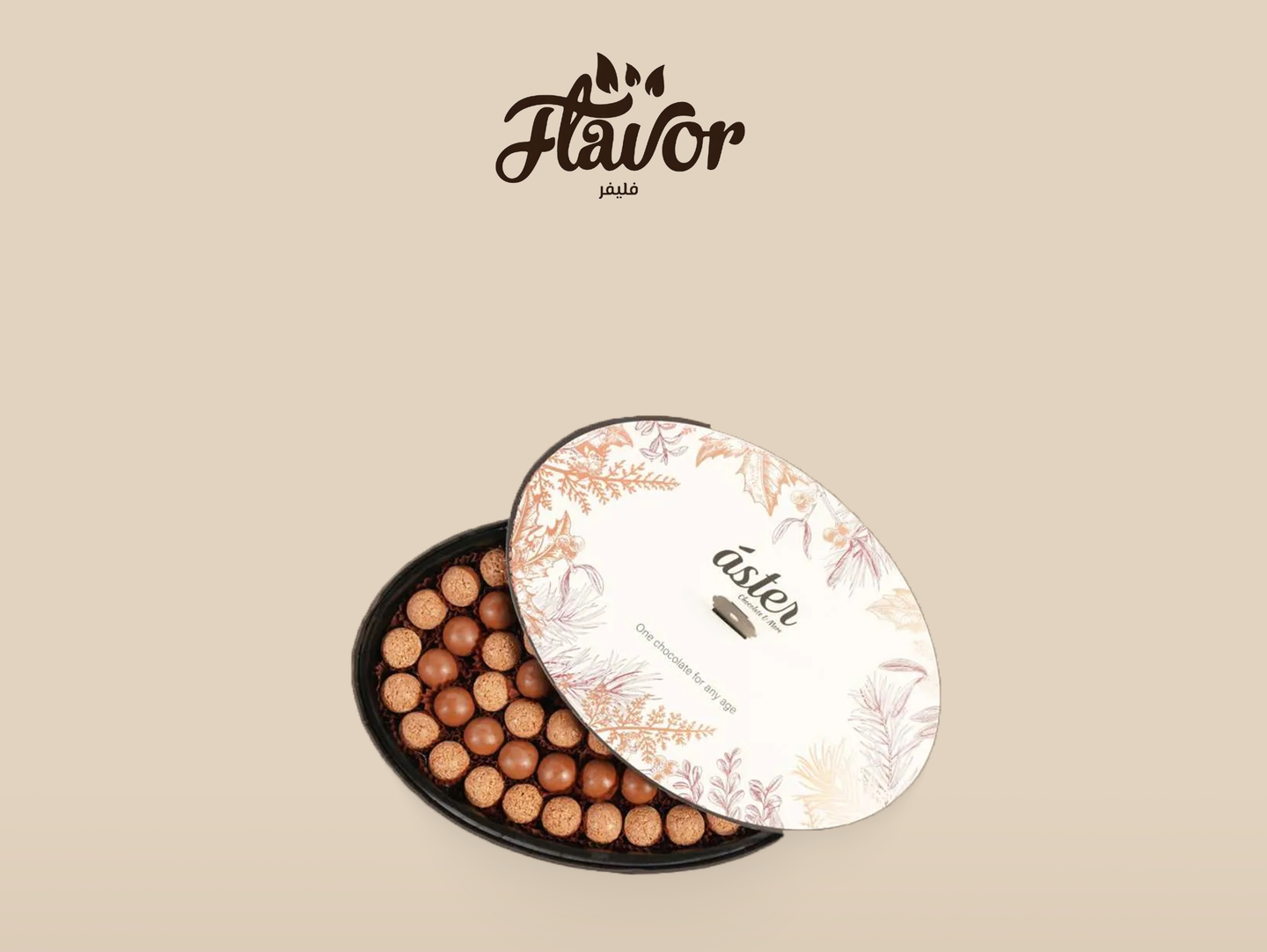Aster Hazelnut