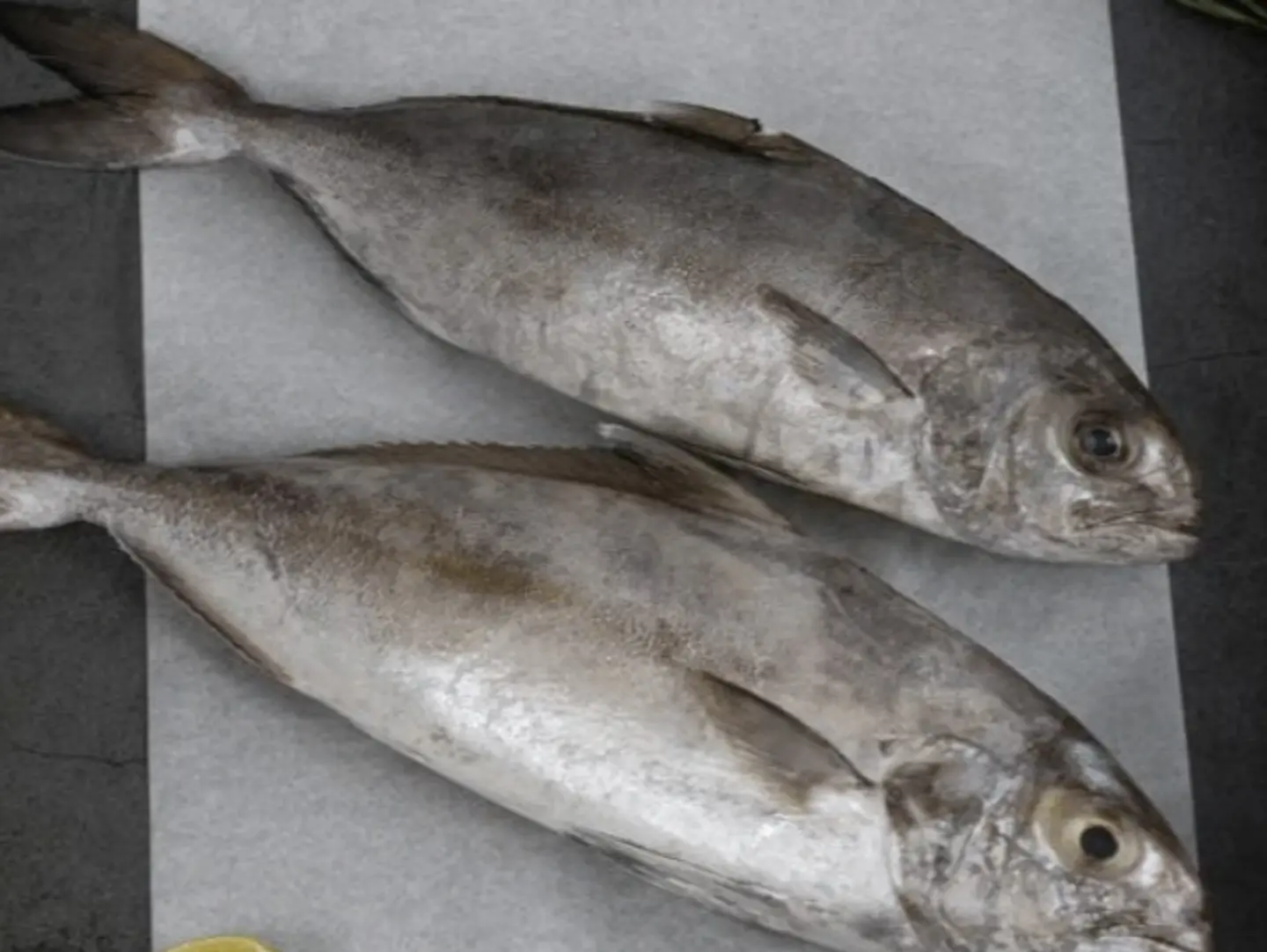 Arabic Fish - Kilo