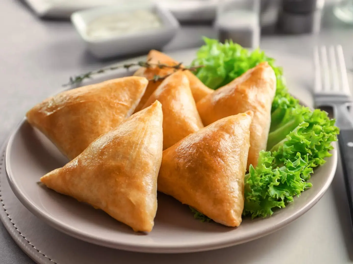 Chicken Sambousek (Fried)