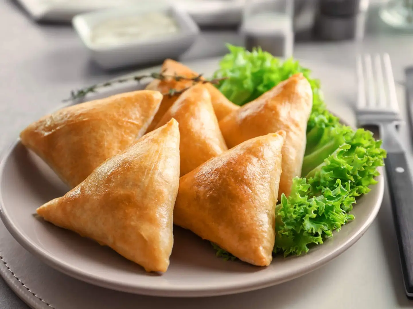 Meat Sambusa (Fried)