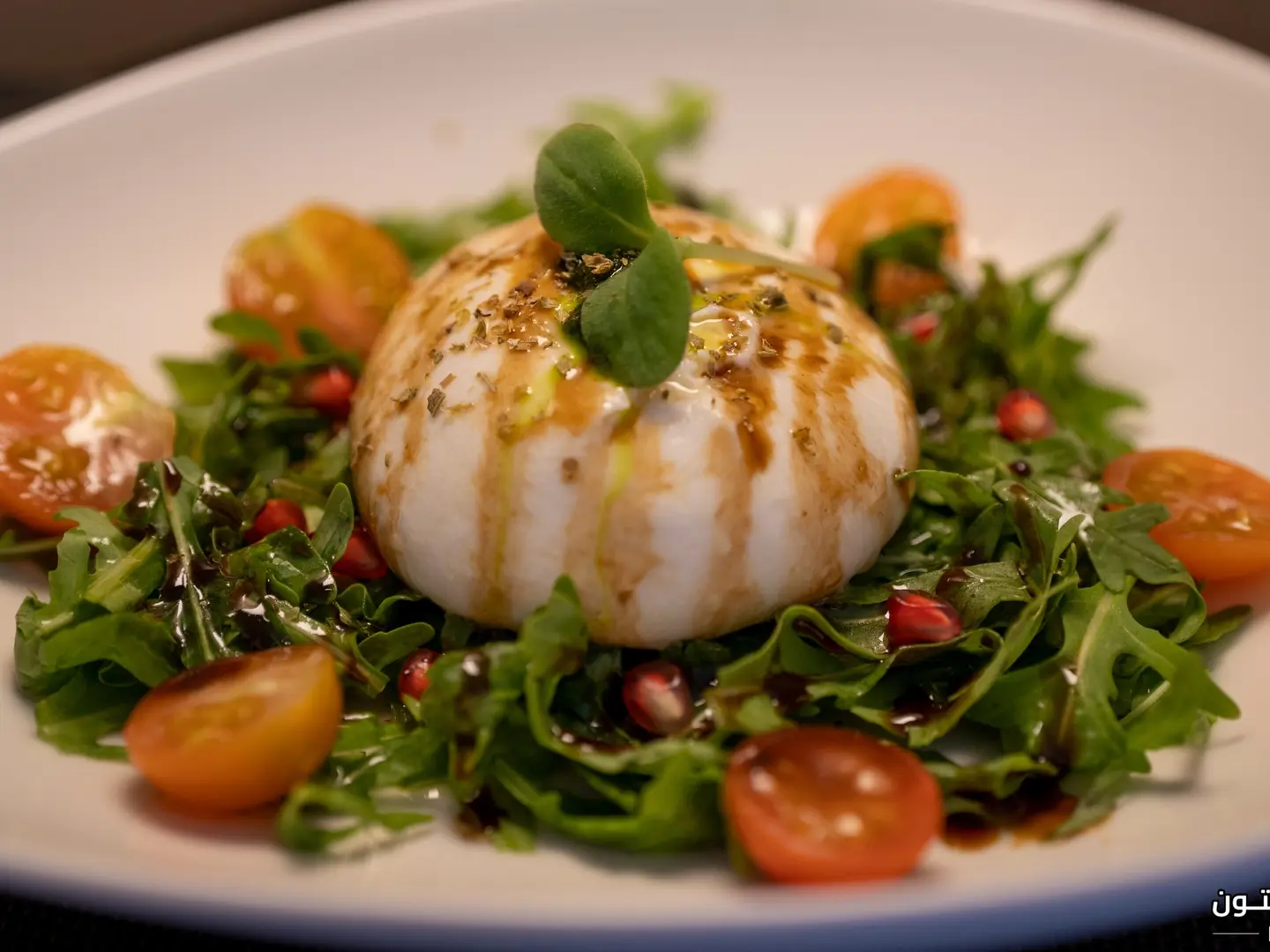 Burrata
