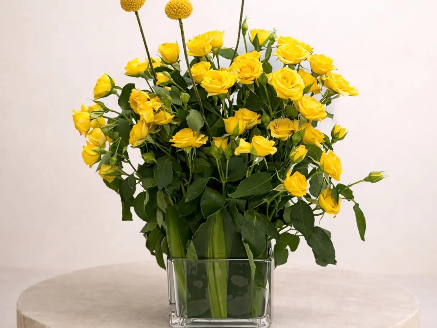 إشراقة التفاؤل