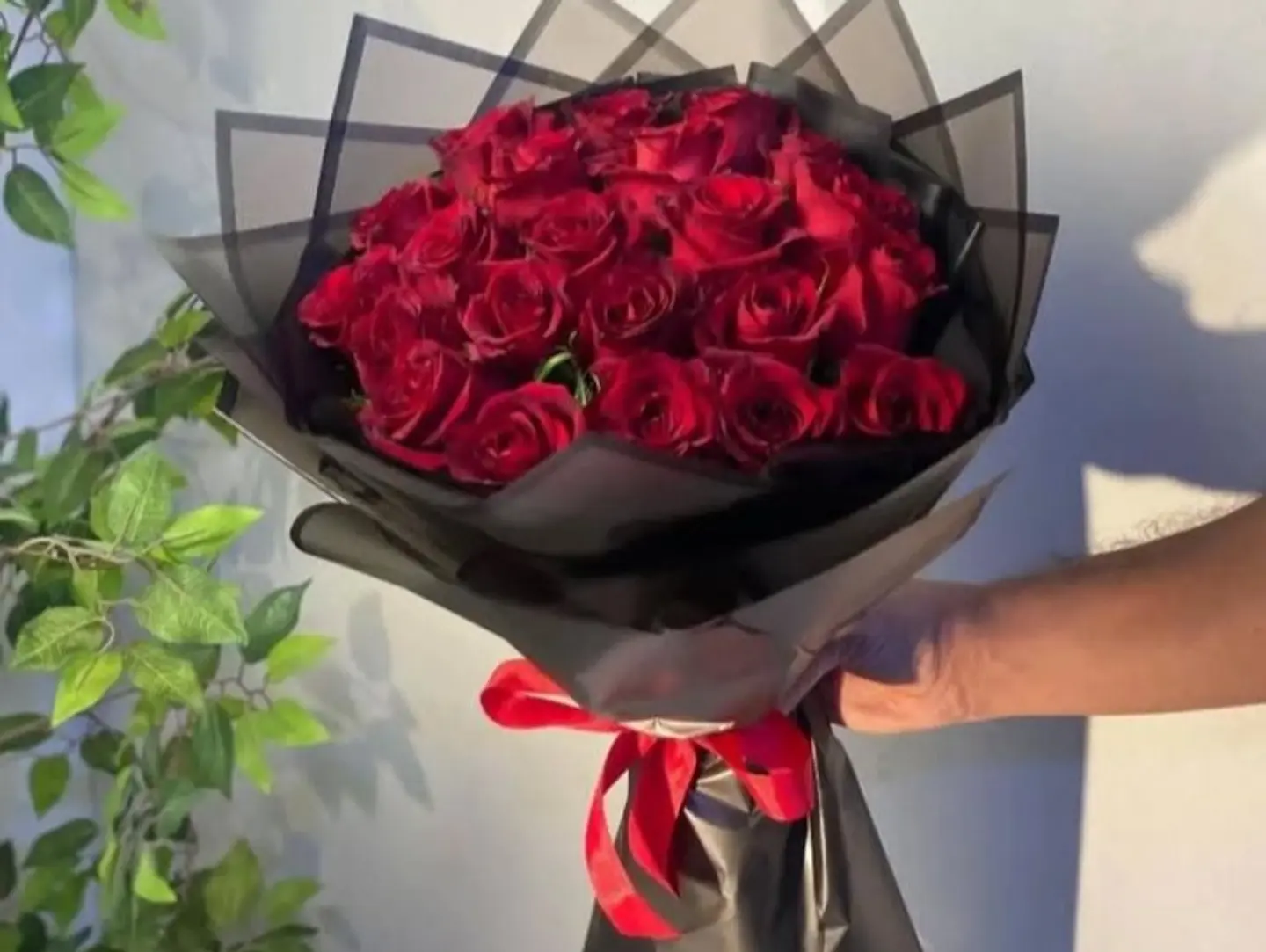 Elegant Romance