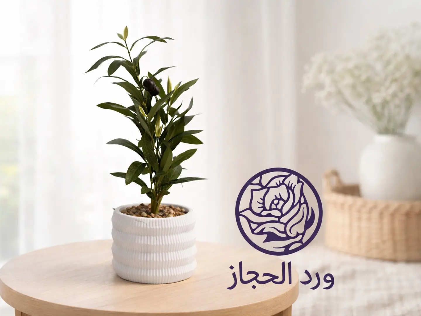 Plant   381