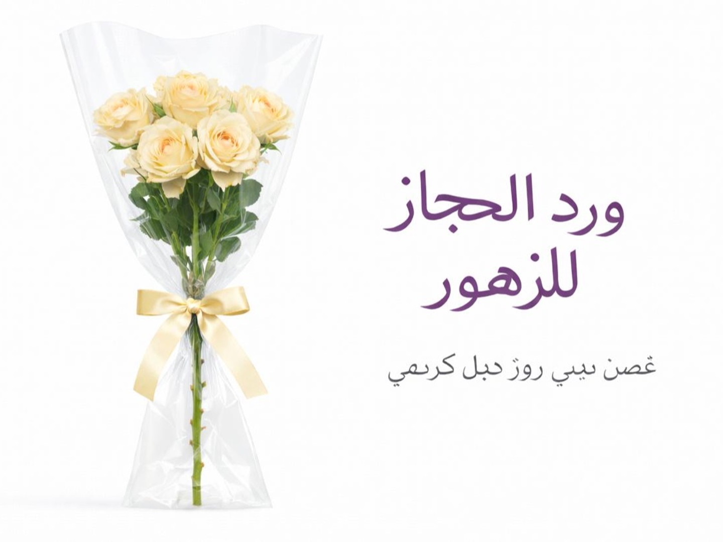 Rose   581