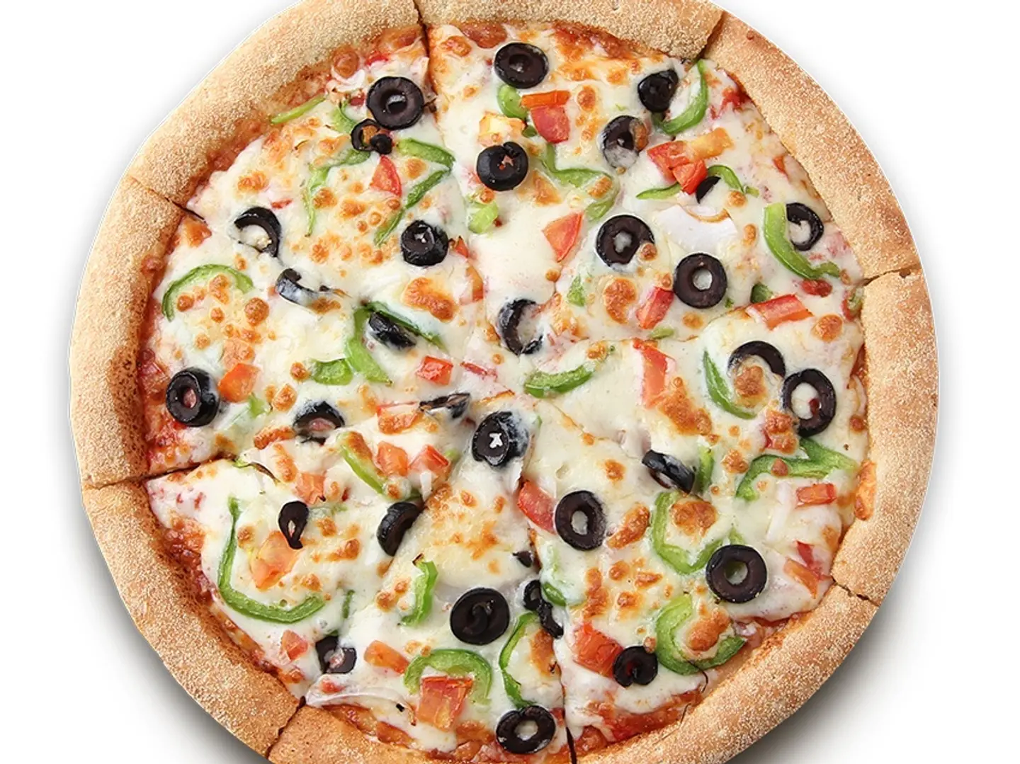 جاردن سبيشال