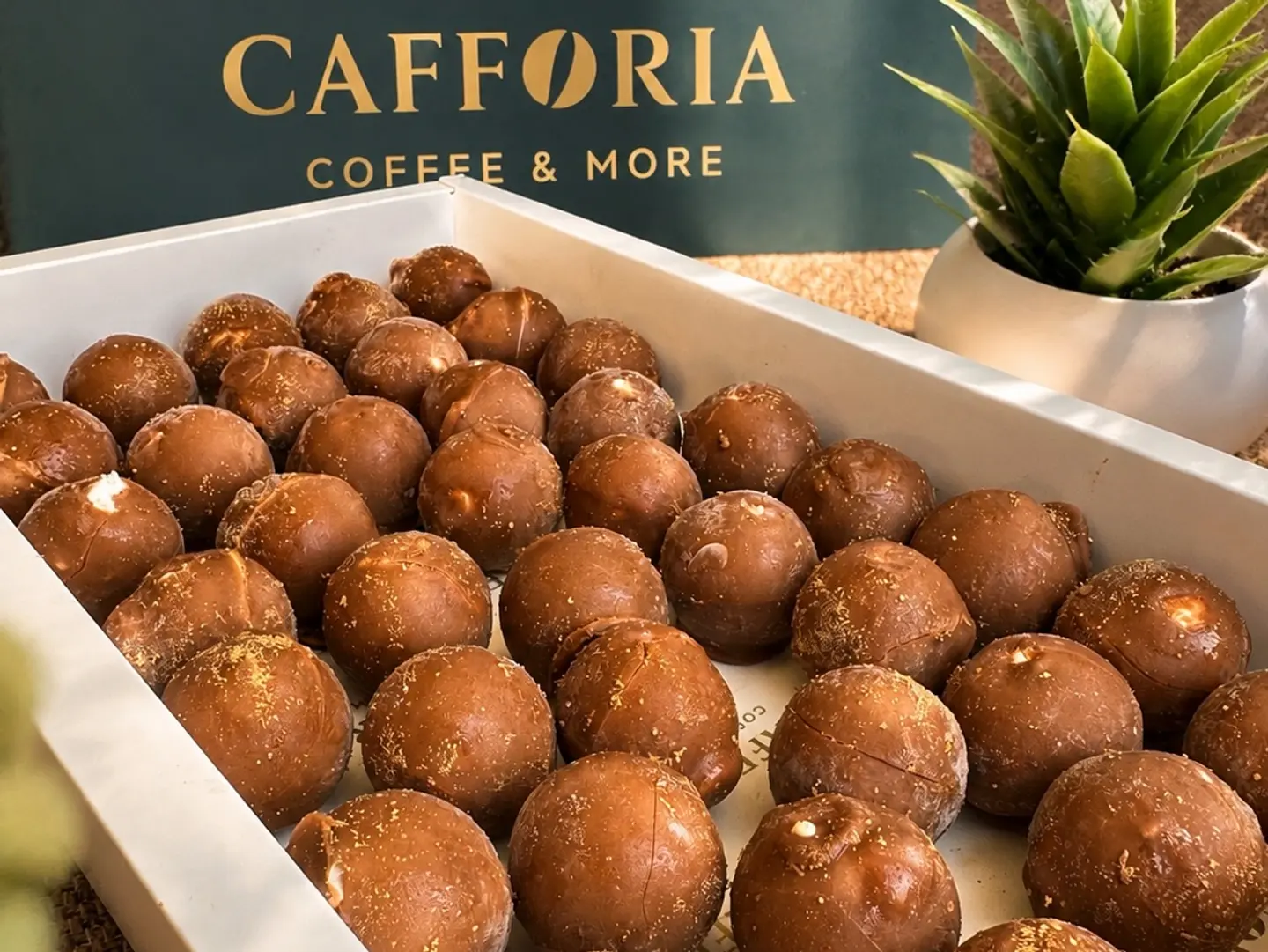 Mdalgam (40 Pcs)