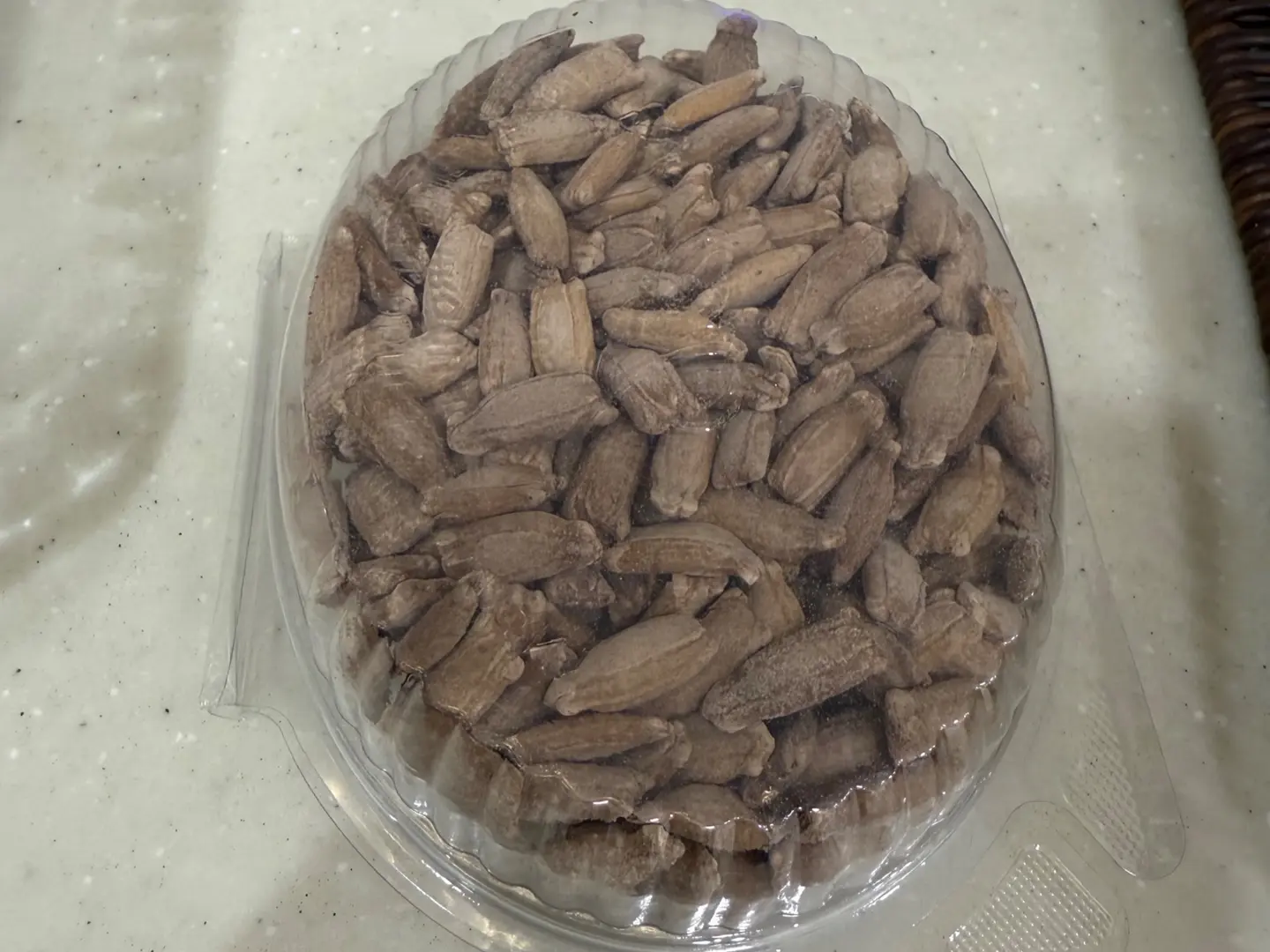 Sunflower Seeds