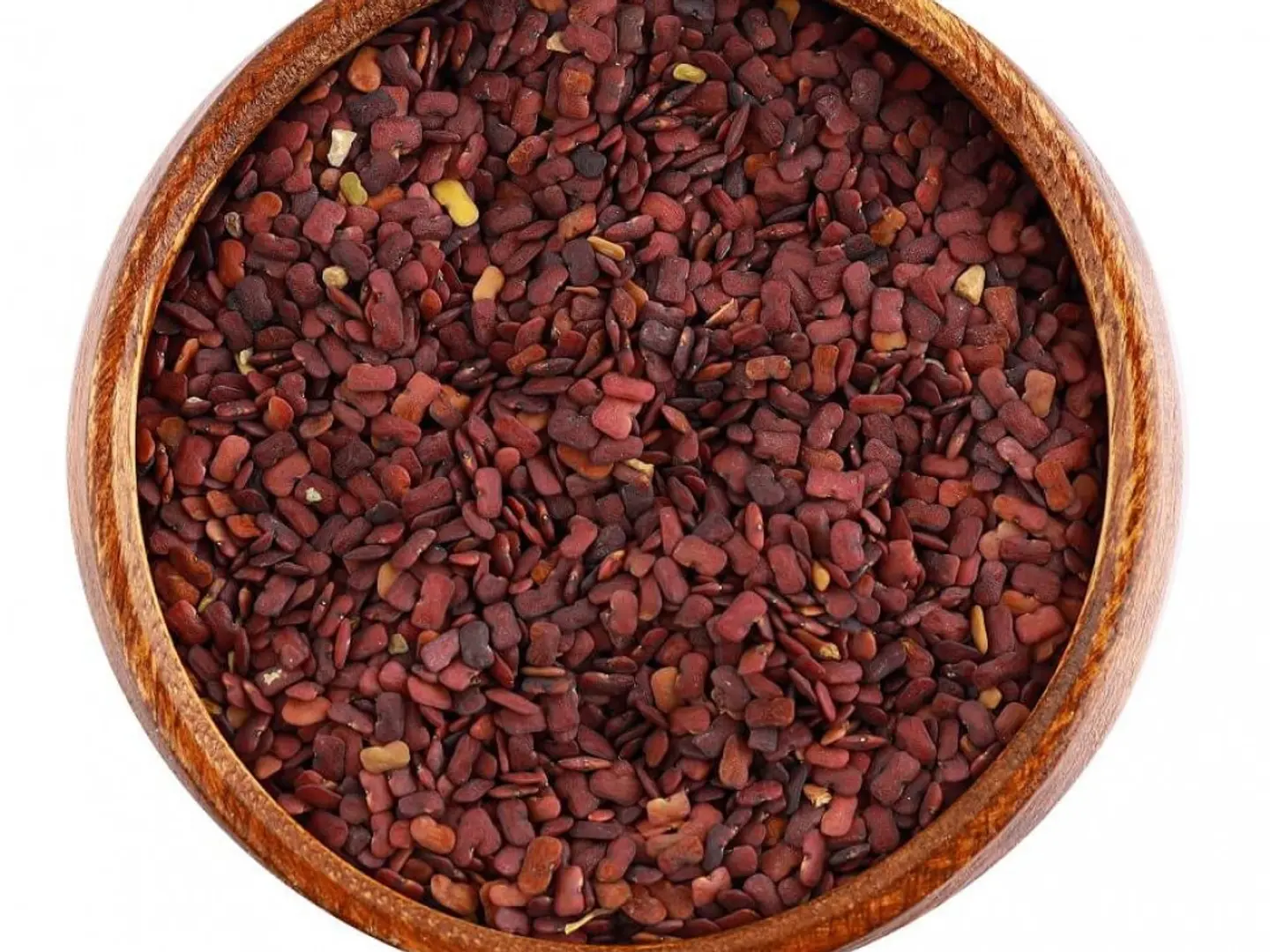 حلبة الخيل درجة أولى