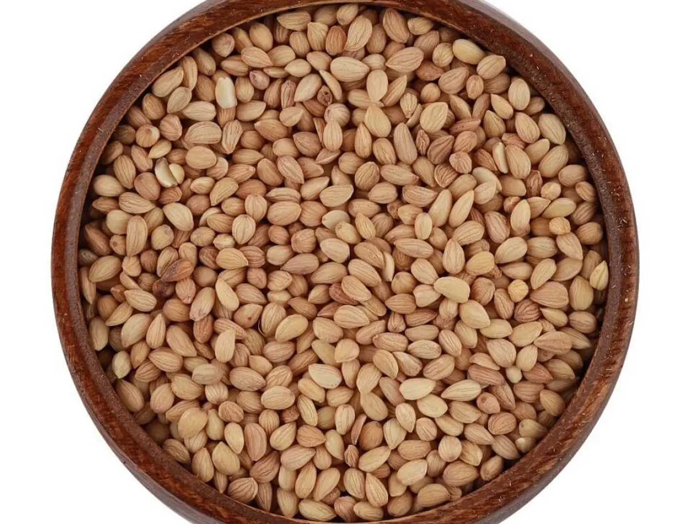 محلب تركي درجة أولى