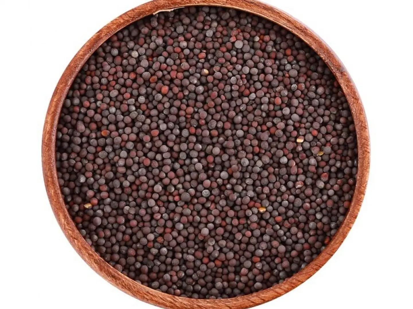 حب بذور الخردل درجة أولى