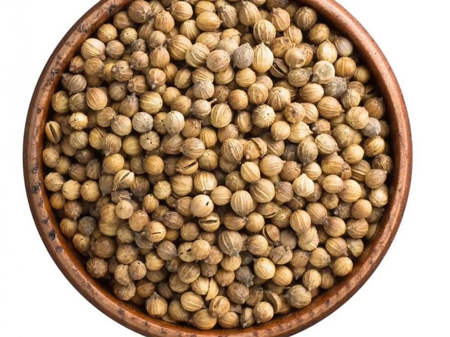 كزبرة حب درجة أولى