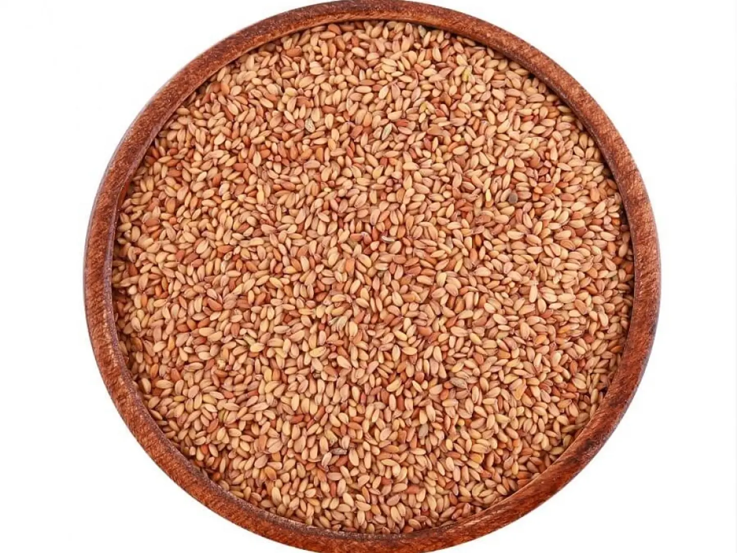 حب الرشاد قصيمي درجة أولى