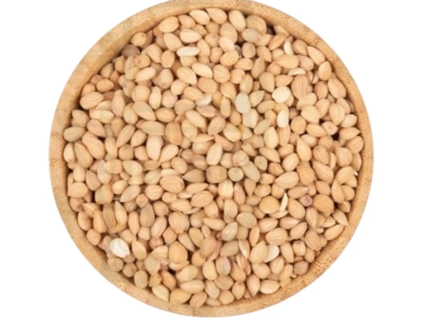 محلب سوري درجة أولى