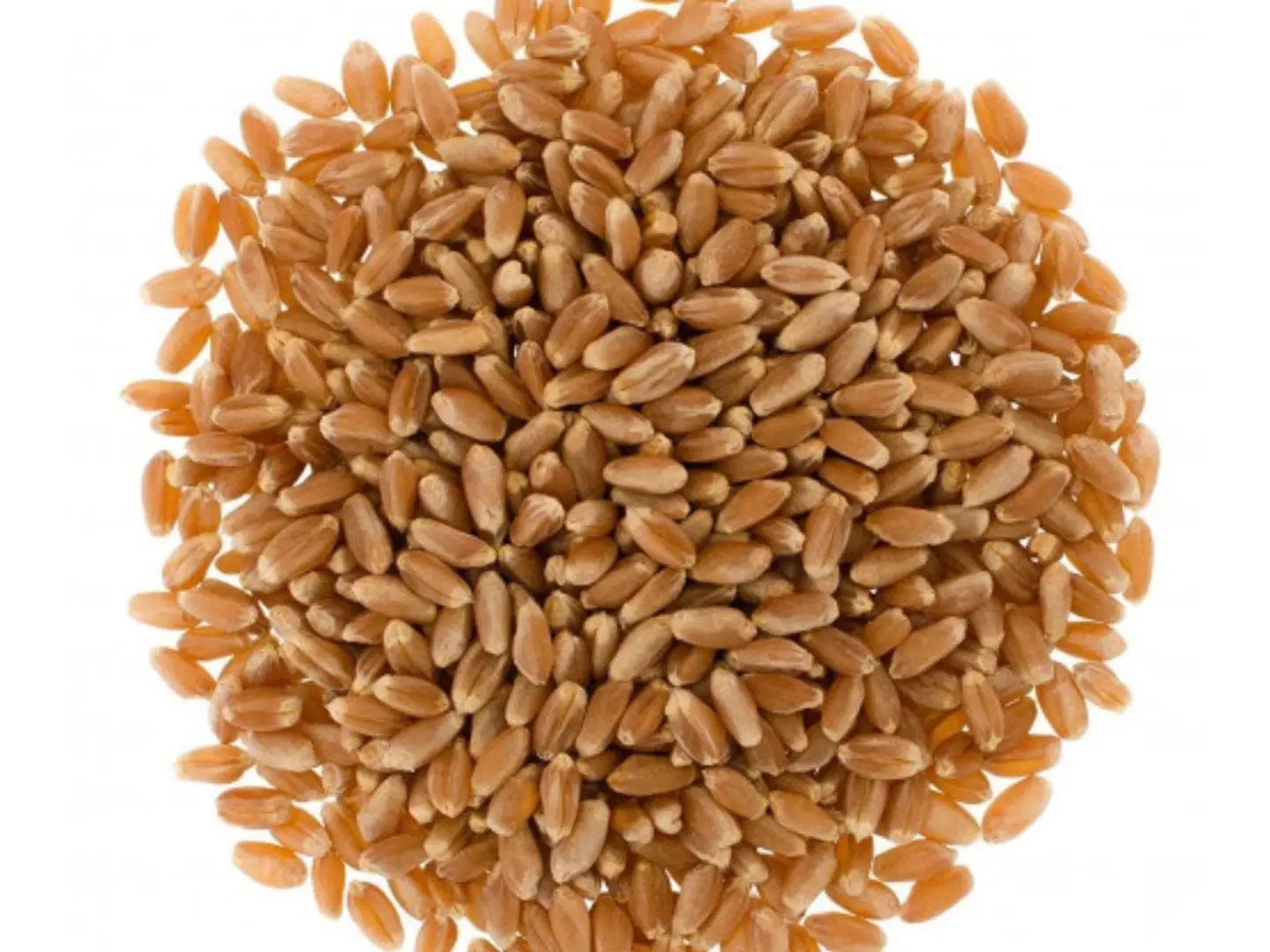 بر صمّا القصيم عضوي 1 كيلوجرام