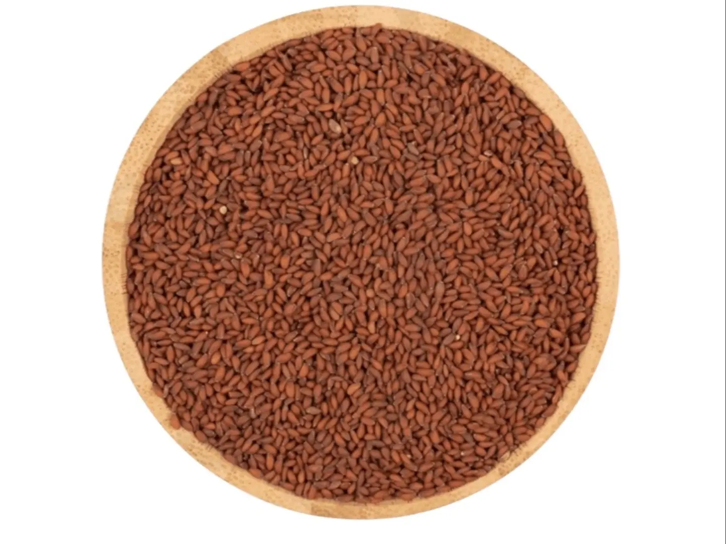 حب الرشاد الهندي درجة أولى