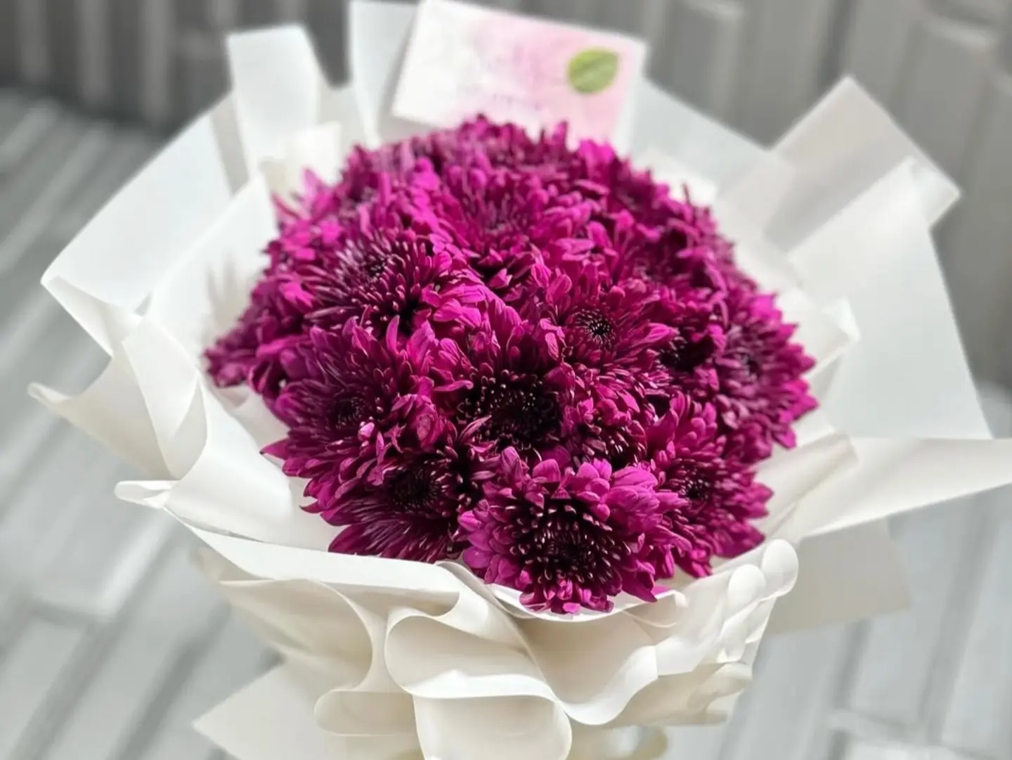 The Legend Of The Rose