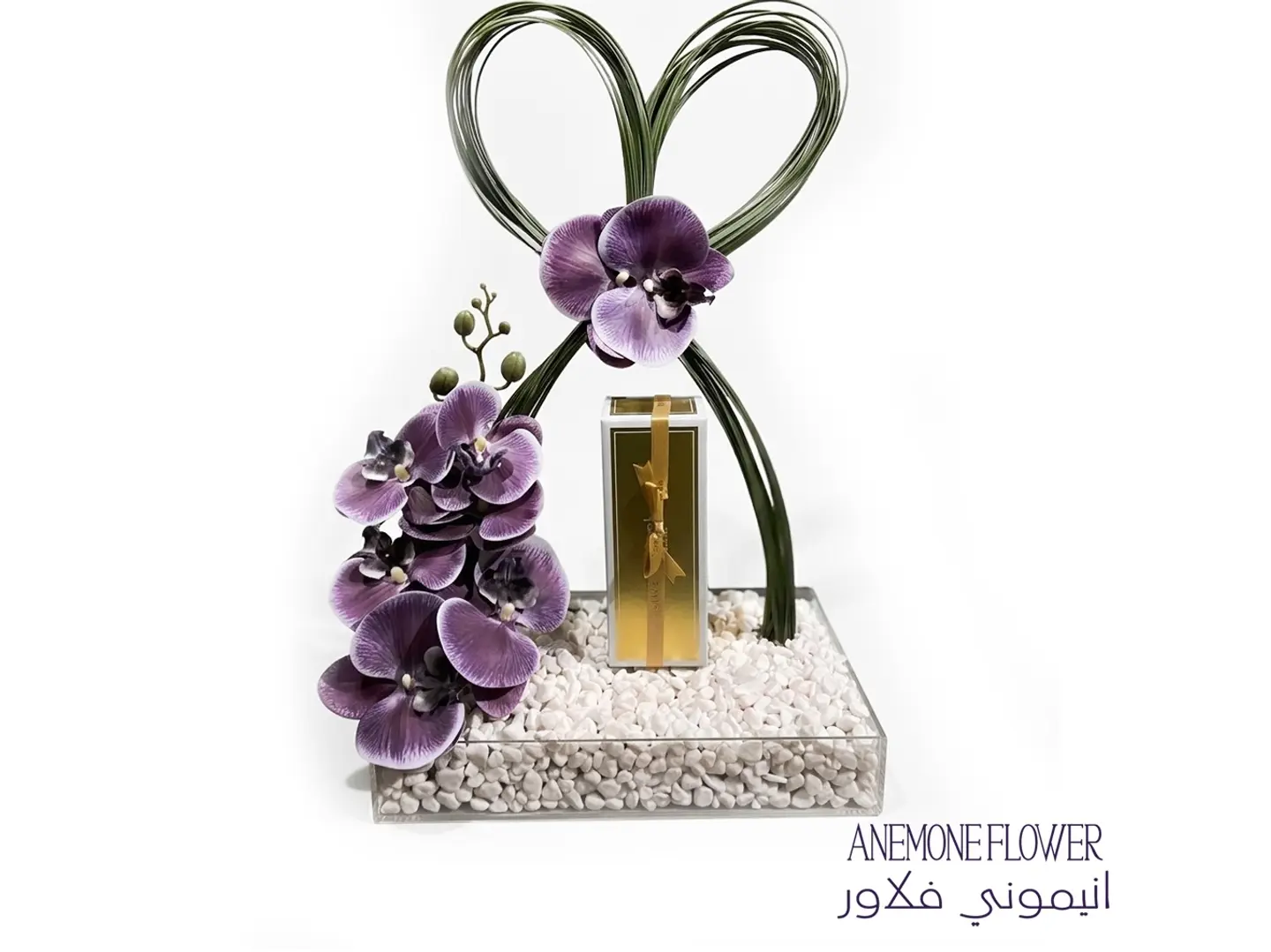 أوركيد القلب الذهبي