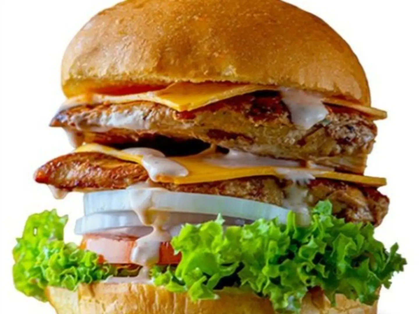 Dobule Chicken Combo