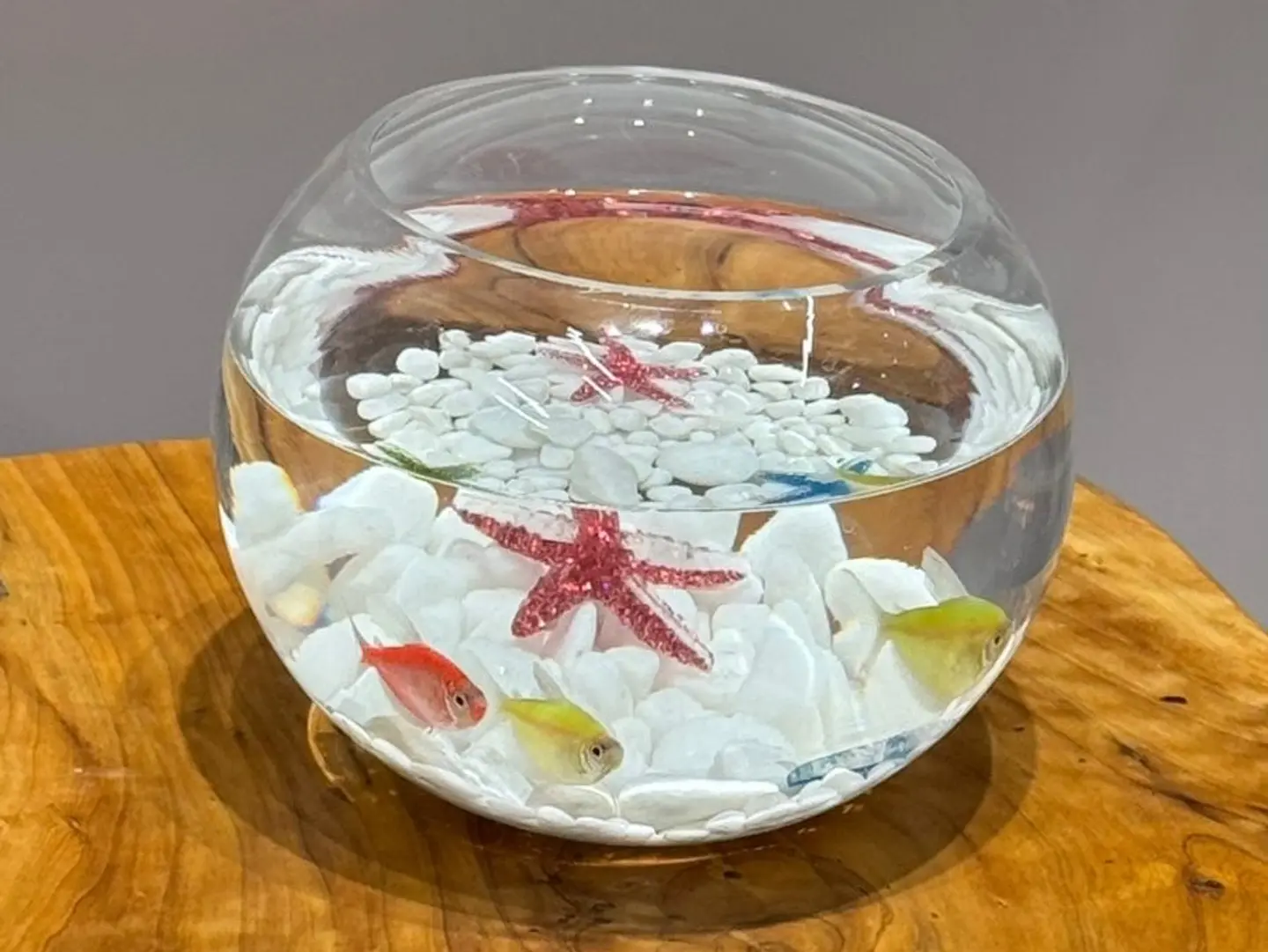 A Vase Decorated With A Starfish Accessory And Three Fish